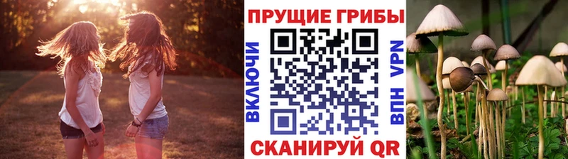 Псилоцибиновые грибы мухоморы  darknet как зайти  Кандалакша  блэк спрут ONION 